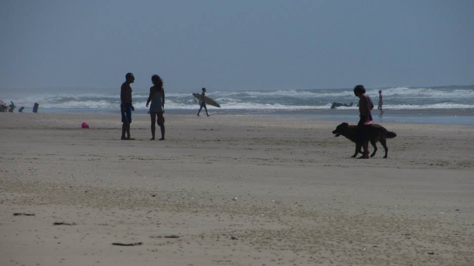 Recorridos por la playa